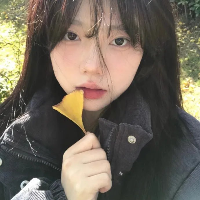 星语心愿之再爱