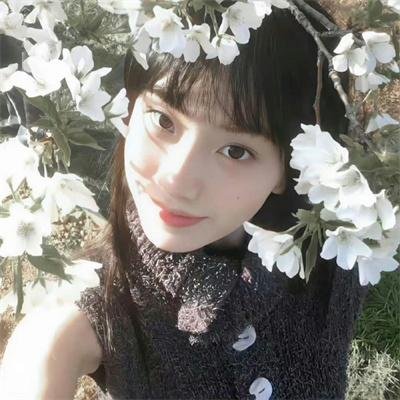 熊熊大冒险